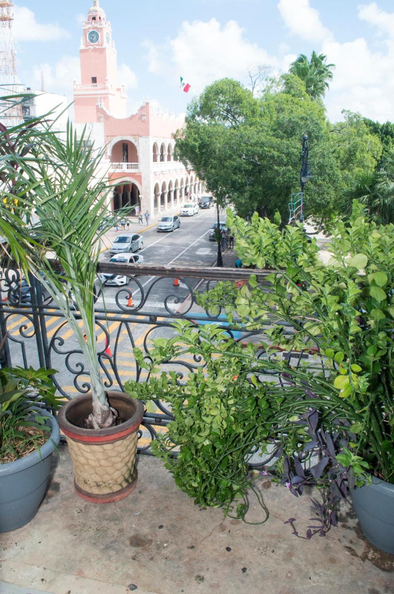Hostal Zocalo Ξενοδοχείο Mérida Εξωτερικό φωτογραφία